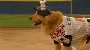 Air Bud 4: El bateador de oro