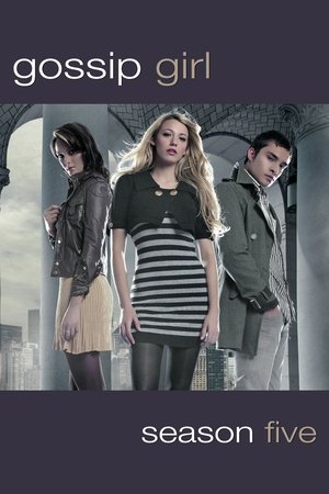 Friends And Sex Gossip Girl Season 2 Free Online Episodes