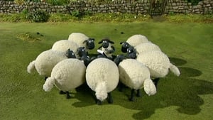 Shaun the Sheep Season 1 Episode 25