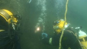 Cochon dingue: 1×31