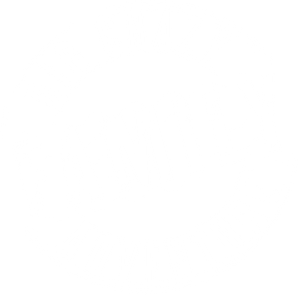 Big Crazy Family Adventure