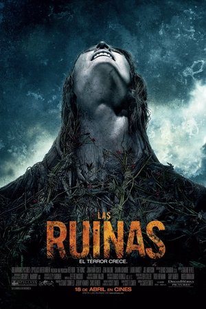 Poster Las ruinas 2008