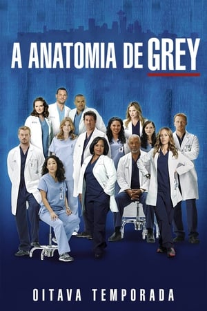 Anatomia de Grey: Temporada 8