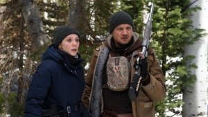 Wind River (2017)