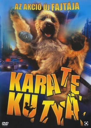 Poster Karate kutya 2004