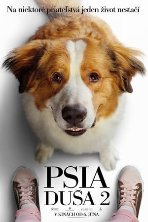 Poster Psia duša 2 2019