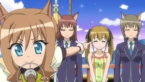 Dog Days: 2×2