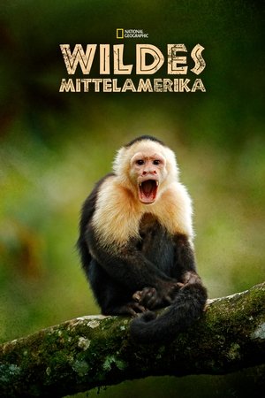 Poster Wildes Mittelamerika Staffel 1 In den Hügeln Costa Ricas 2020