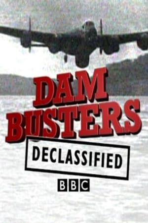 Poster Dam Busters Declassified 2010