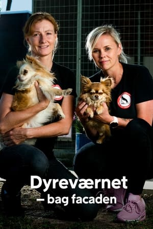 Image Dyreværnet - bag facaden