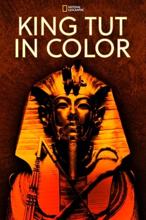 Poster King Tut In Color 2021