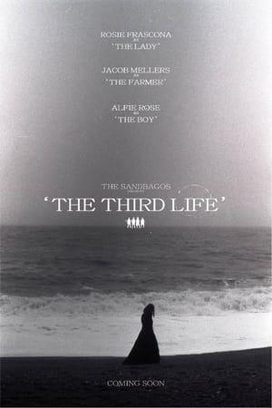 Image The Third Life