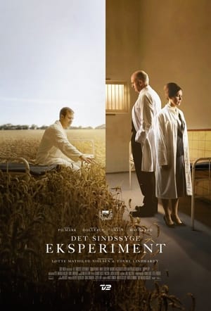 Poster The Insane Experiment (2023)