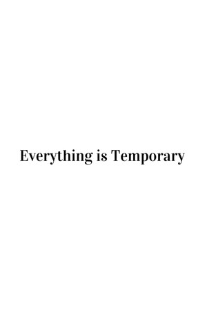 Everything is Temporary 14