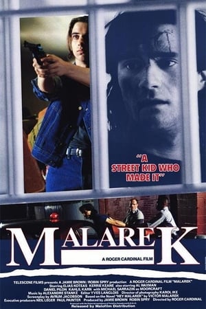 Poster Malarek (1988)