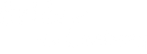 Bride of the Century