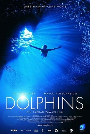 Poster Dolphins 1999