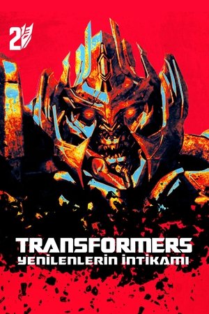 Image Transformers: Yenilenlerin İntikamı