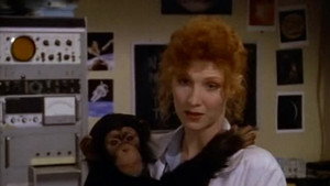 Monkey Dreams