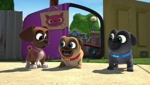 Puppy Dog Pals Cat Park