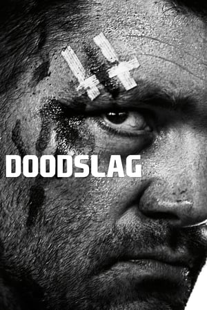 Doodslag 2012