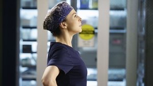 Grey’s Anatomy 11 x Episodio 14