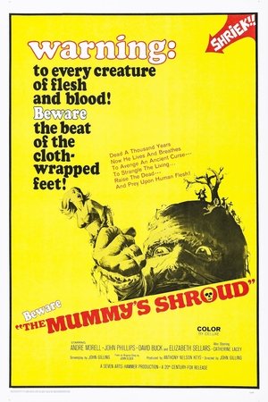 The Mummy's Shroud poster