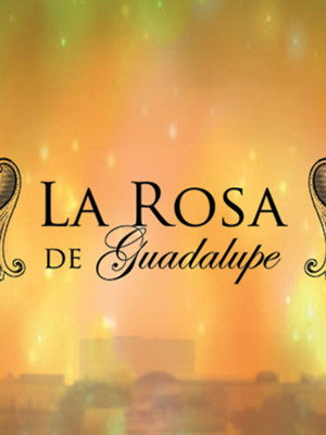 La rosa de Guadalupe 7