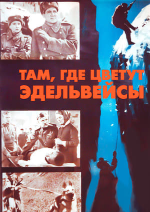 Там, где цветут эдельвейсы poster