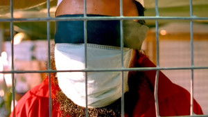 Gitmo Online En Netflix