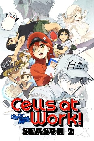 Cells at Work! Season 2