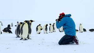 Antarctica, sur les traces de l’empereur