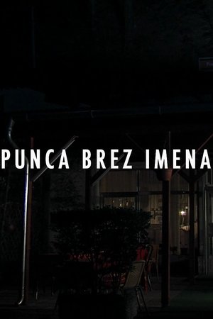 Poster Punca brez imena 2015