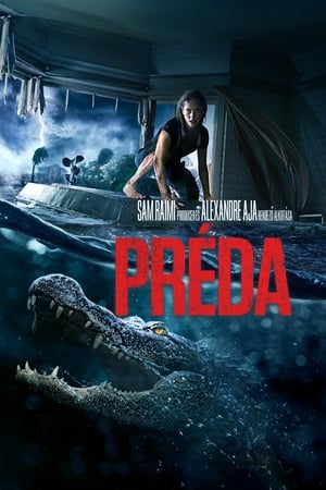 Poster Préda 2019