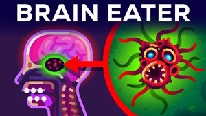 Kurzgesagt - In a Nutshell The Most Horrible Parasite: Brain Eating Amoeba