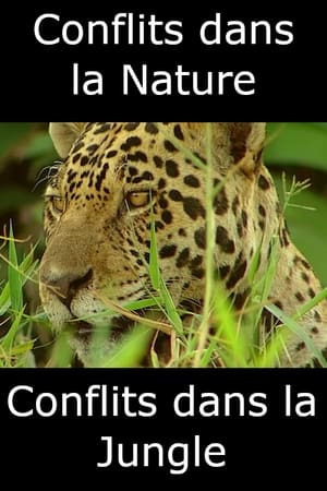 Poster Conflits dans la Nature – Conflits dans la Jungle (2018)