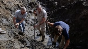 The Curse of Oak Island Wharfs and All