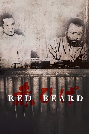 Image Red Beard