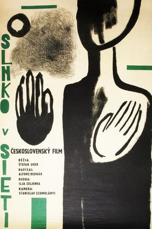 Poster The sun in a net 1963