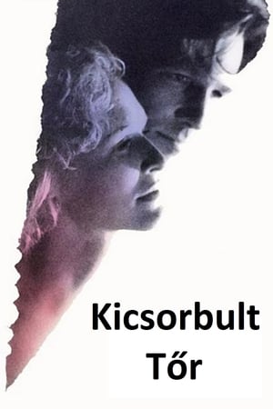 Poster Kicsorbult tőr 1985