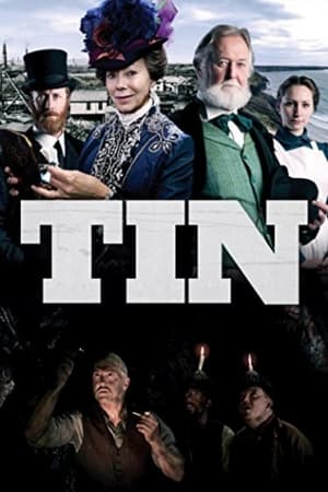 Poster Tin (2015)