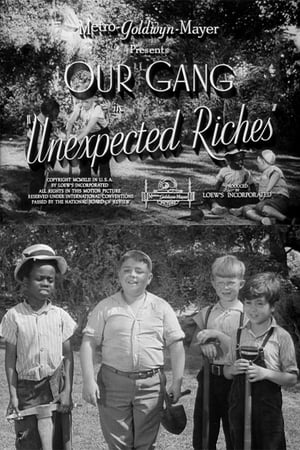 Unexpected Riches poster