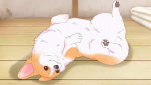 The Corgi and the Samurai: 1×1