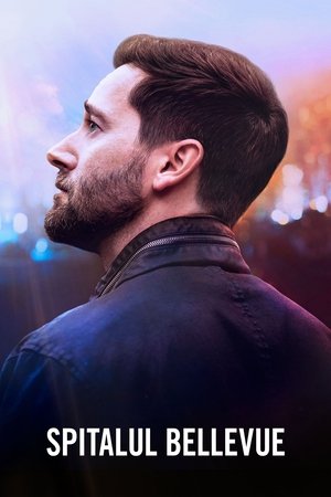 Image Spitalul Bellevue