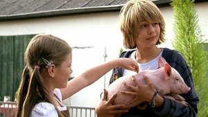 Episodio 8