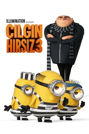 Çılgın Hırsız 3 2017