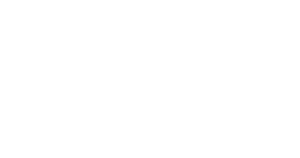 Ảnh 221