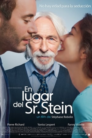 Poster En lugar del Sr. Stein 2017