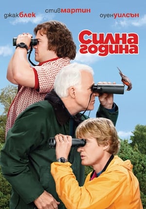 Силна година 2011