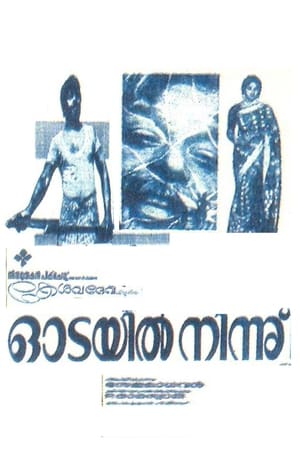 Poster Odayil Ninnu (1965)
